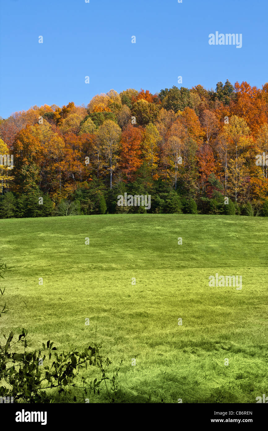 Caduta del paesaggio in McMinn County, Tennessee, Stati Uniti d'America Foto Stock
