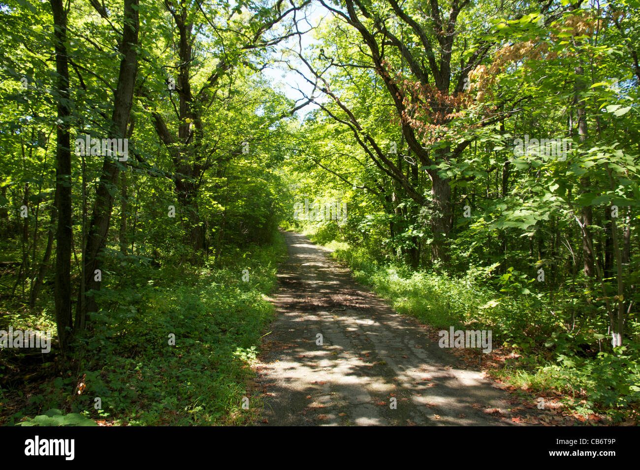 Sentiero arancione. Deer Grove Forest Preserve. Cook County, Illinois. Foto Stock