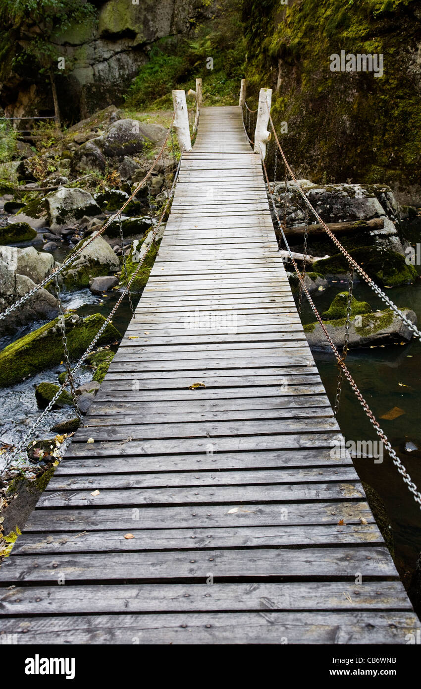 Sospensione ponte che attraversa un fiume di foresta. Foto Stock