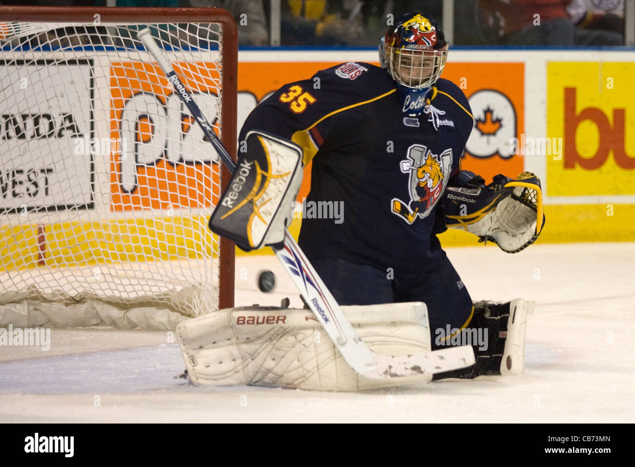 London Ontario, Canada - 25 novembre 2011. Azione tra i cavalieri di Londra e la barrie Colts della Ontario Hockey League. Foto Stock