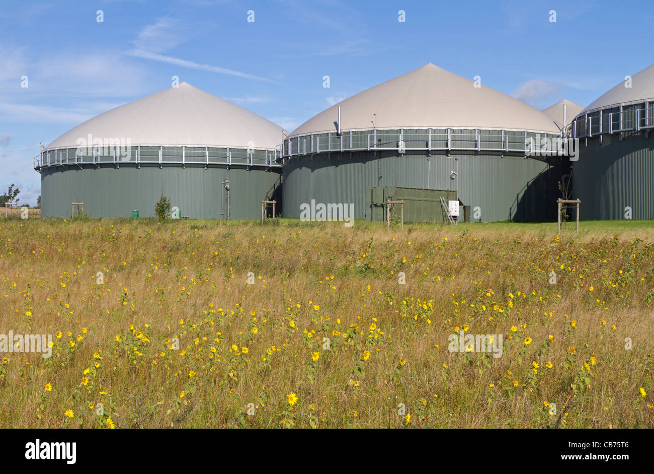 Impianto di biogas Foto Stock