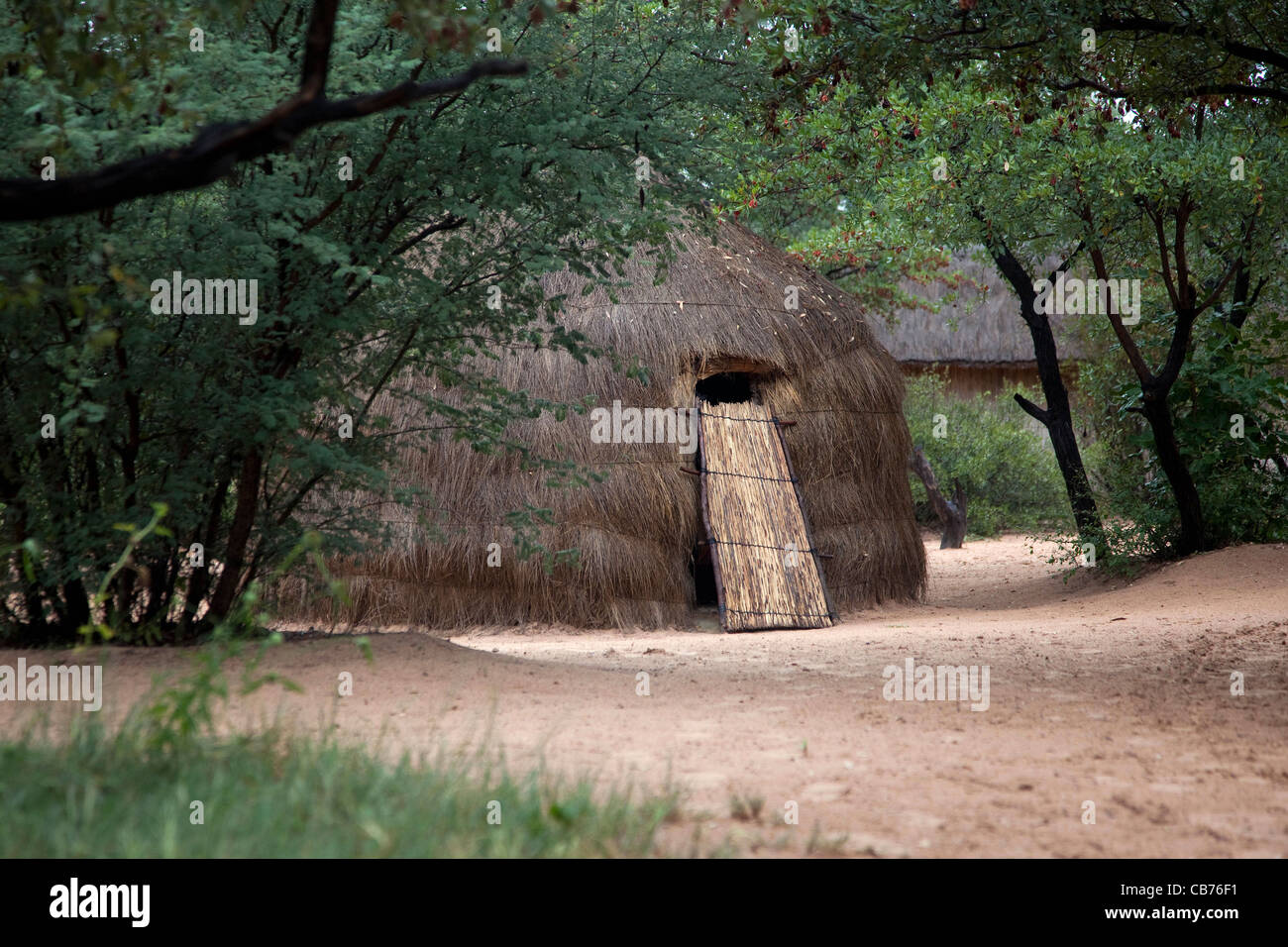 Boscimani tradizionale / San rifugio nel deserto del Kalahari vicino a Ghanzi, Botswana, Africa Foto Stock