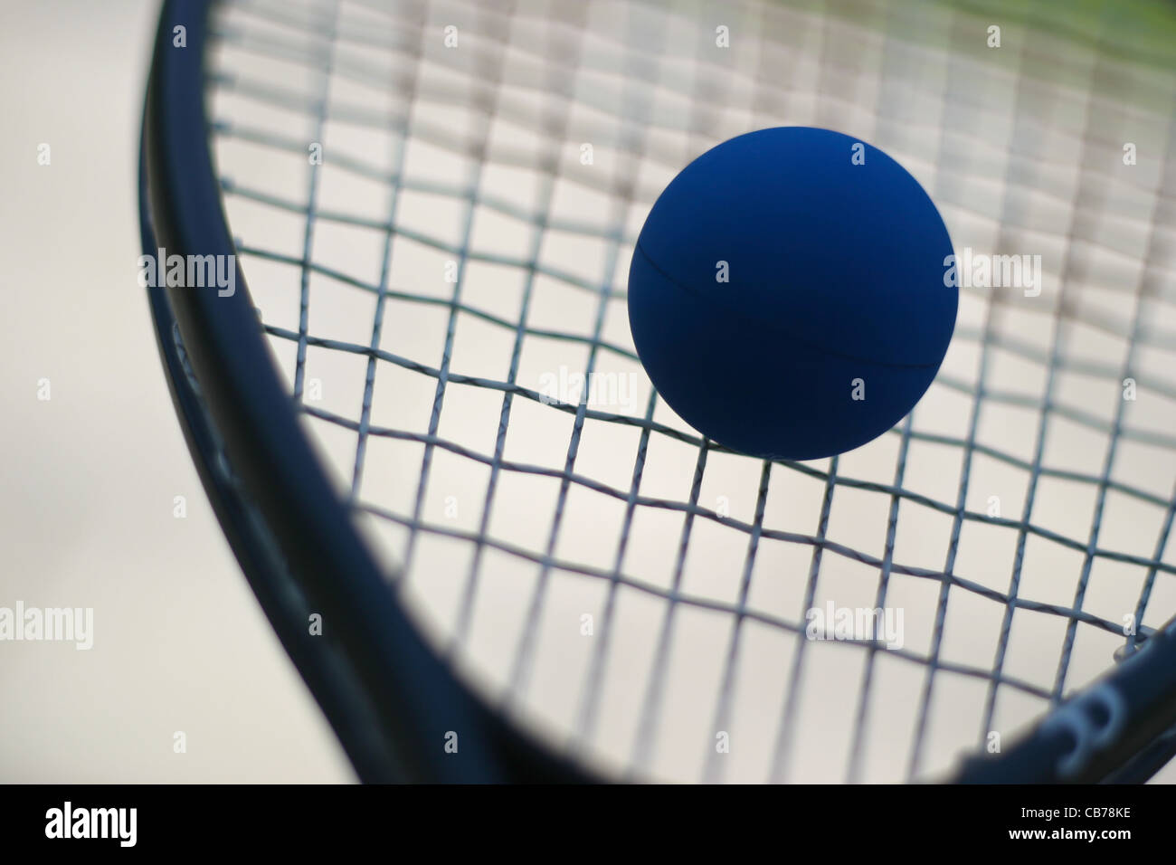 Racchetta da squash e sfera Foto Stock