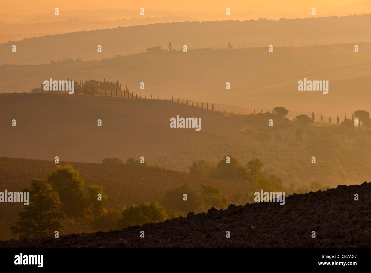 Misty alba sopra le colline della Toscana, Italia Foto Stock