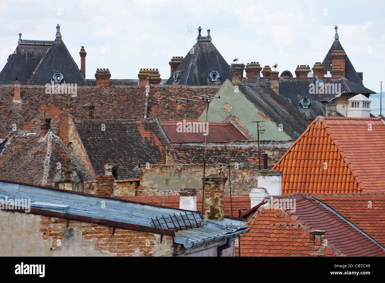 Vecchie case con il tetto rosso, Sibiu, Romania Foto Stock
