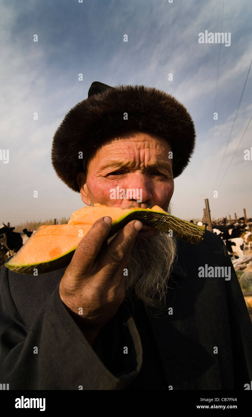 Un Uighur uomo godendo di un melone dolce in un mercato all'aperto nello Xinjiang. Foto Stock