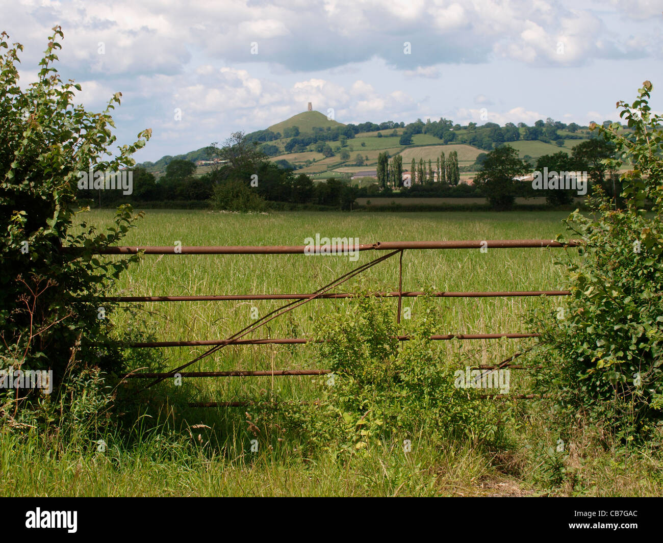 Somerset terreni agricoli, con Glastonbury Tor in distanza, REGNO UNITO Foto Stock