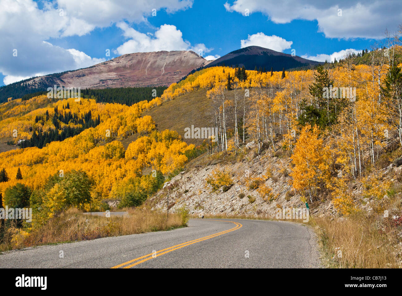 Autunno colore con Aspens Turning - su Kebler Pass strada in Colorado. Foto Stock