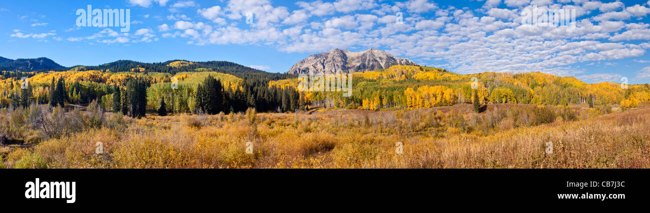 Panorama di colore di autunno con Aspen alberi sulla strada sopra Kebler passano vicino a Crested Butte, Colorado. Foto Stock
