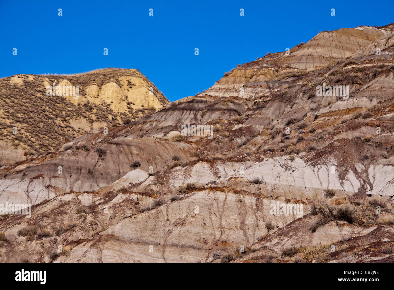 La Horsethief Canyon, parte del canadese Badlands, appare sul Nord dinosauro fuori pista di Drumheller, Alberta, Canada. Foto Stock