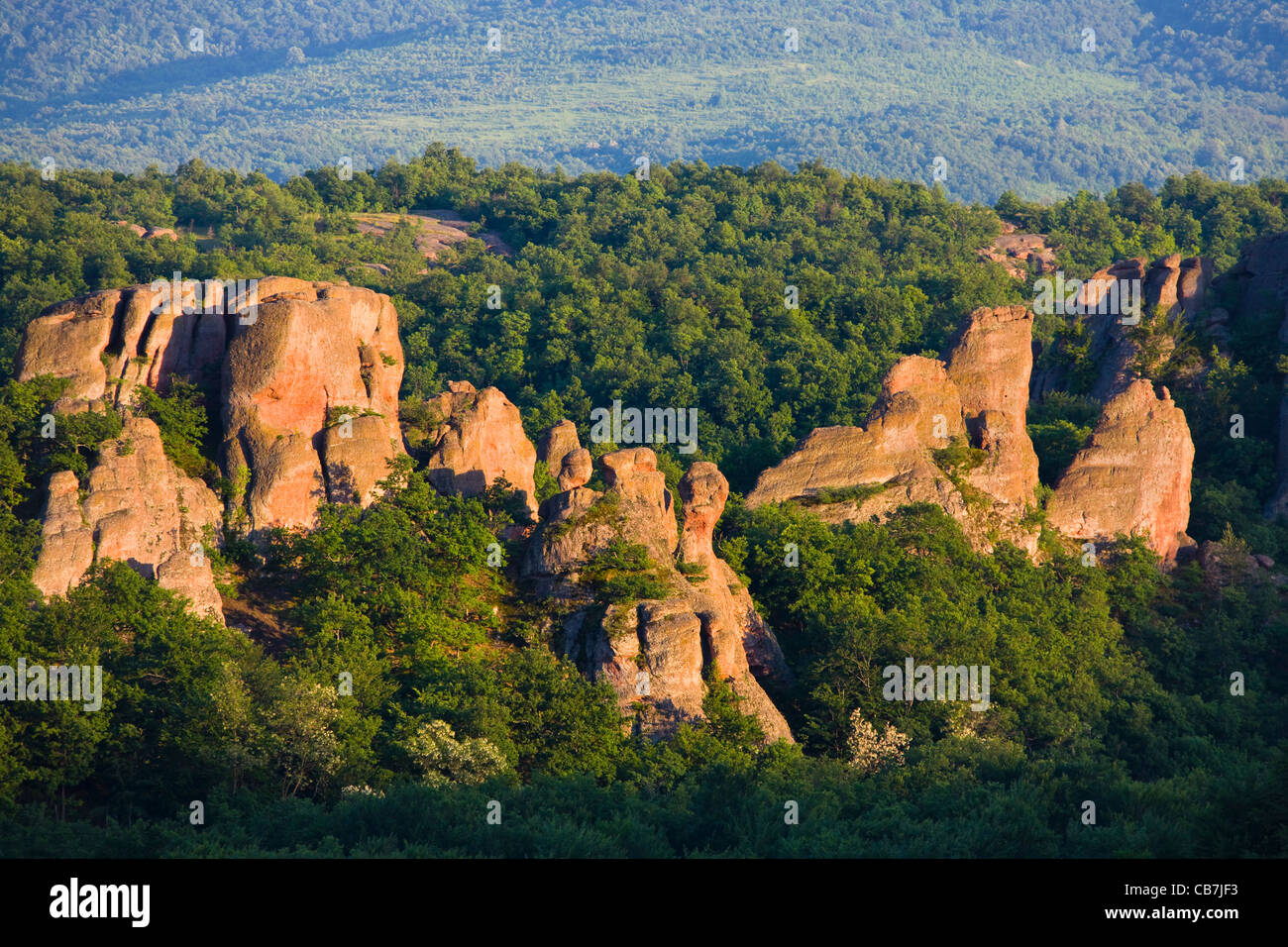 Le formazioni rocciose, Belogradchik, Vidin Provincia, Bulgaria Foto Stock