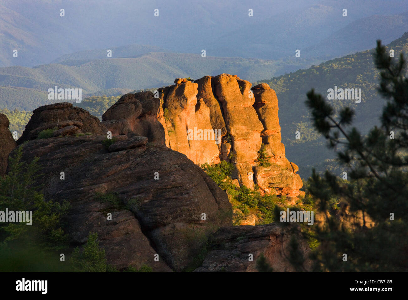 Le formazioni rocciose, Belogradchik, Vidin Provincia, Bulgaria Foto Stock