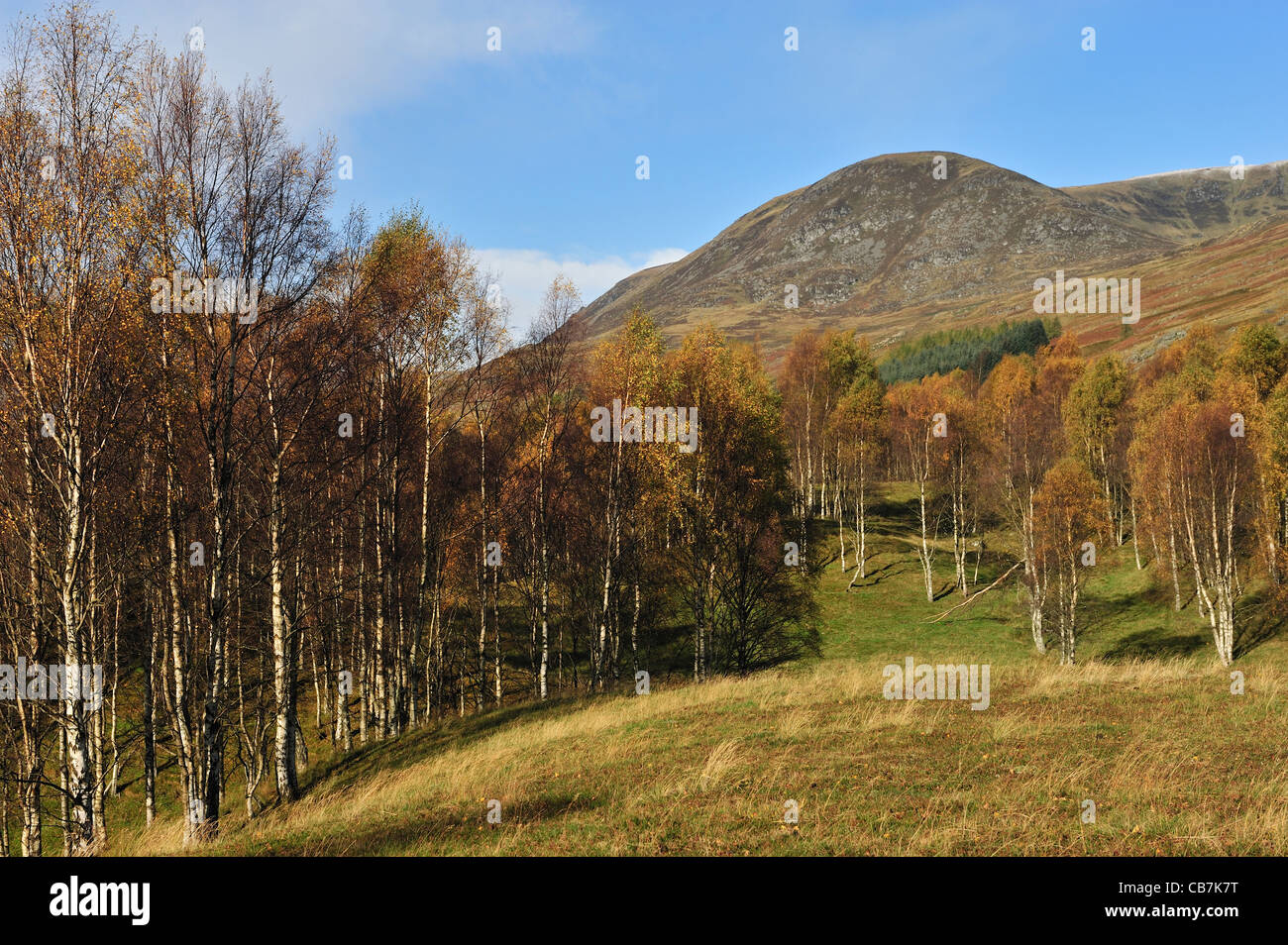 Il tardo autunno giorno guardando giù Glen Clova da Loch Heath. Foto Stock