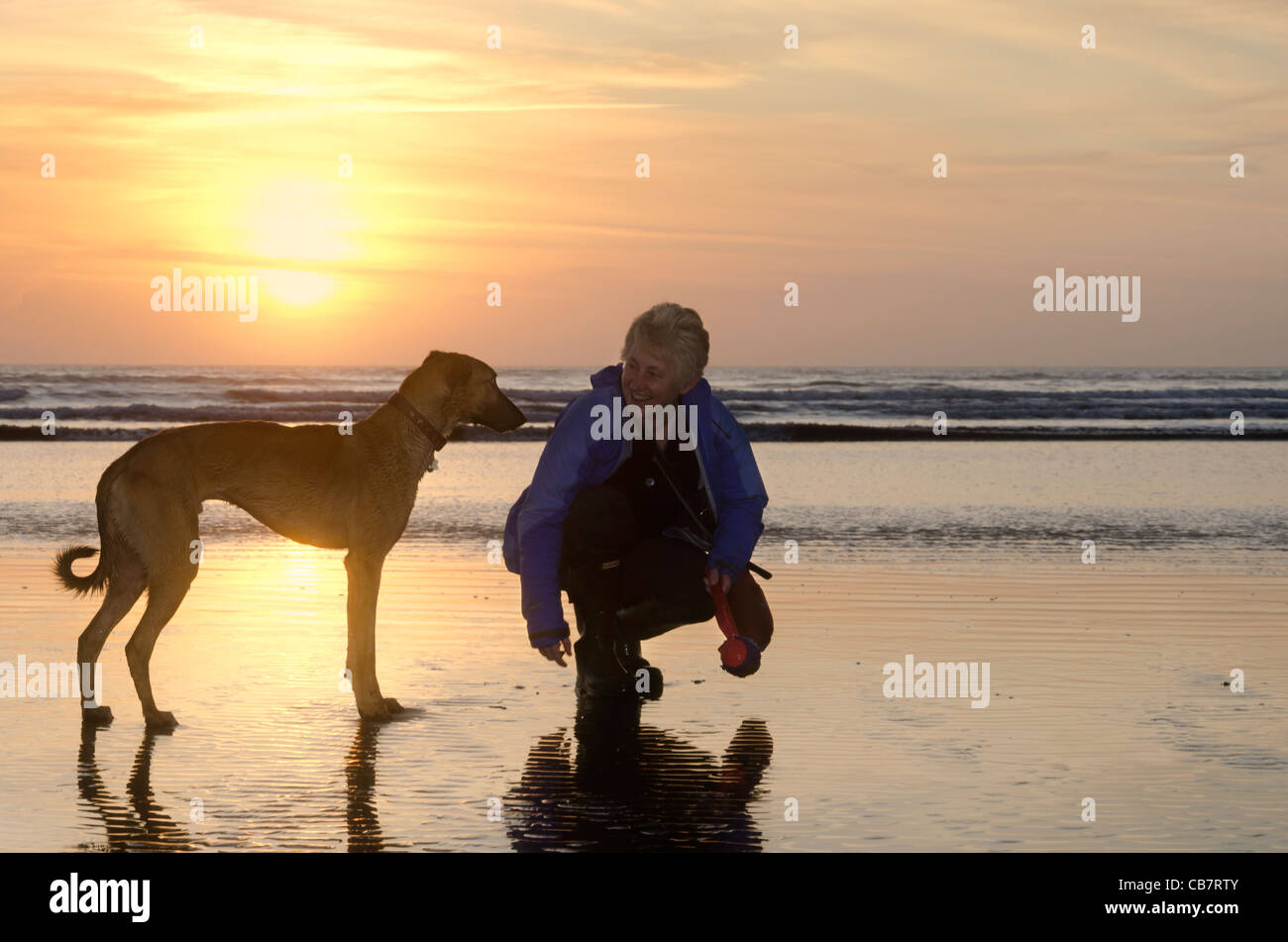 Una donna e il suo cane sulla spiaggia di Drigg a bassa marea, rivolto verso la fotocamera nella parte anteriore di un tramonto Foto Stock