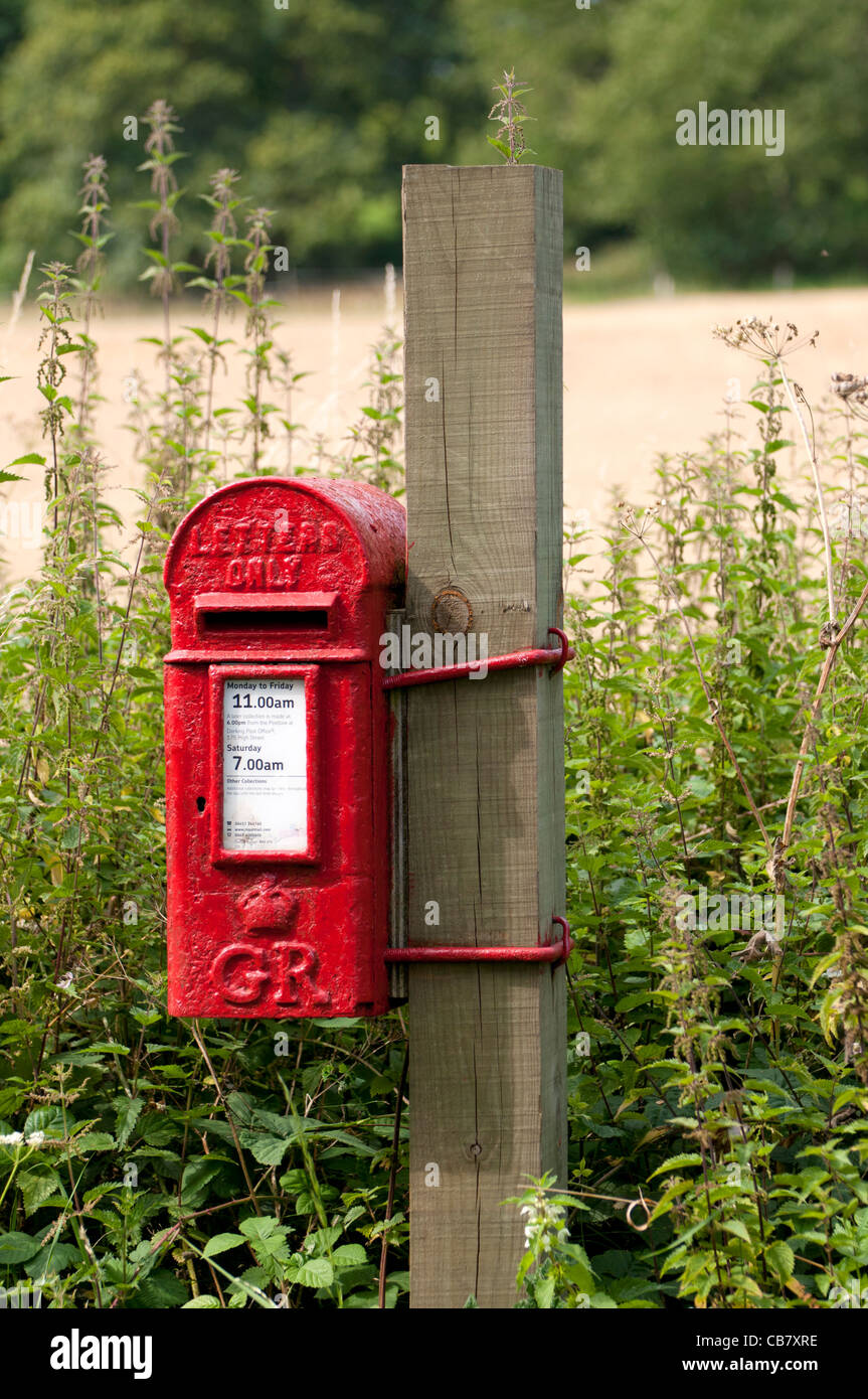 Vecchio rosso inglese post scatola fissata ad un palo di legno. Foto Stock