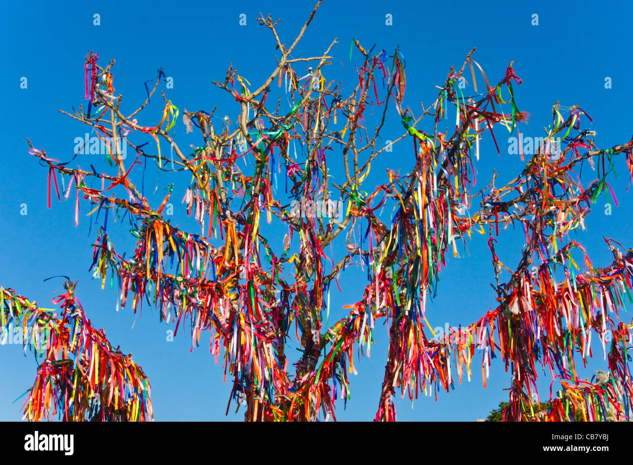 Alberi con buona fortuna red ribbon, Yalta, Crimea, Ucraina Foto Stock