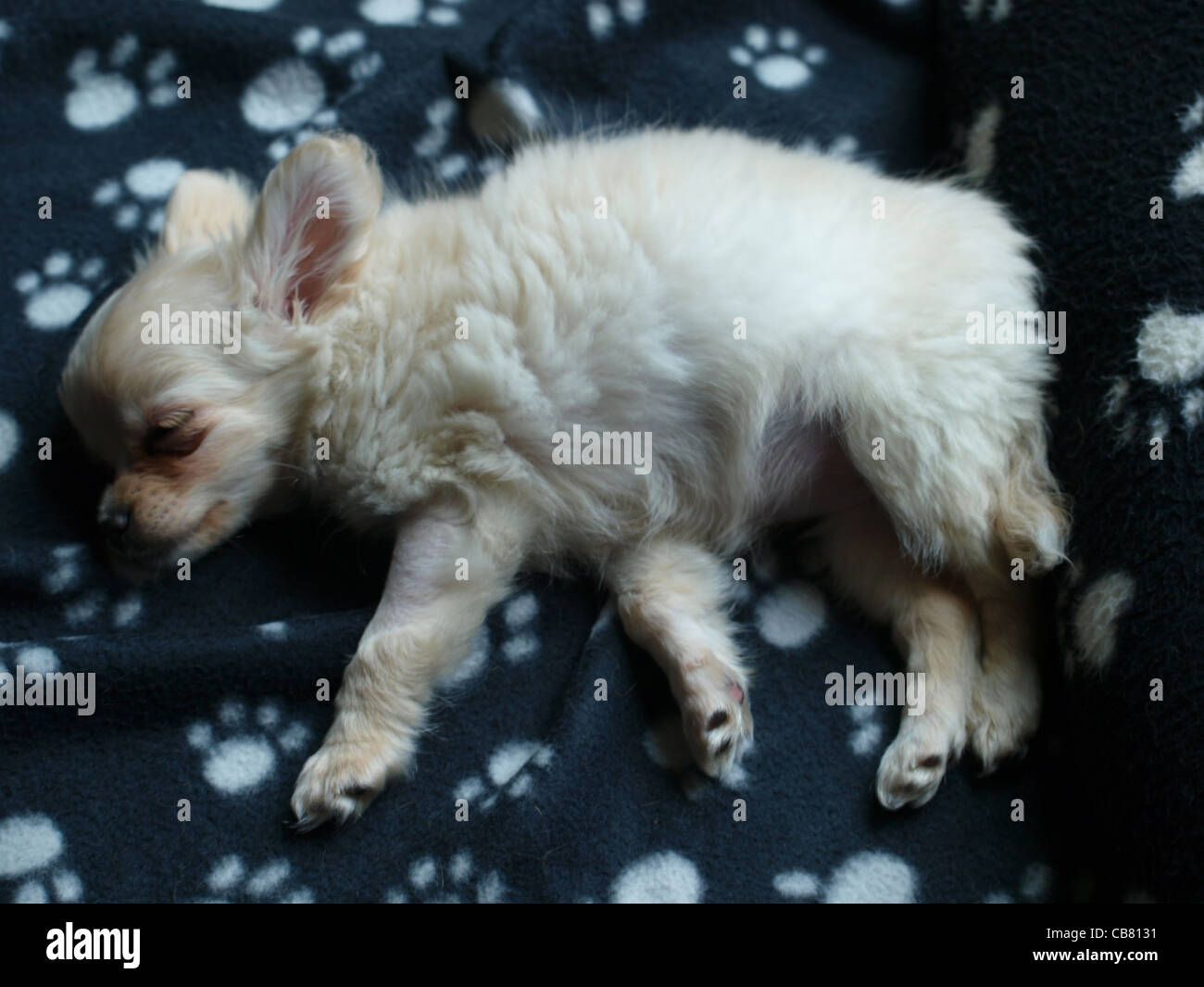 Dreamtime Foto Stock