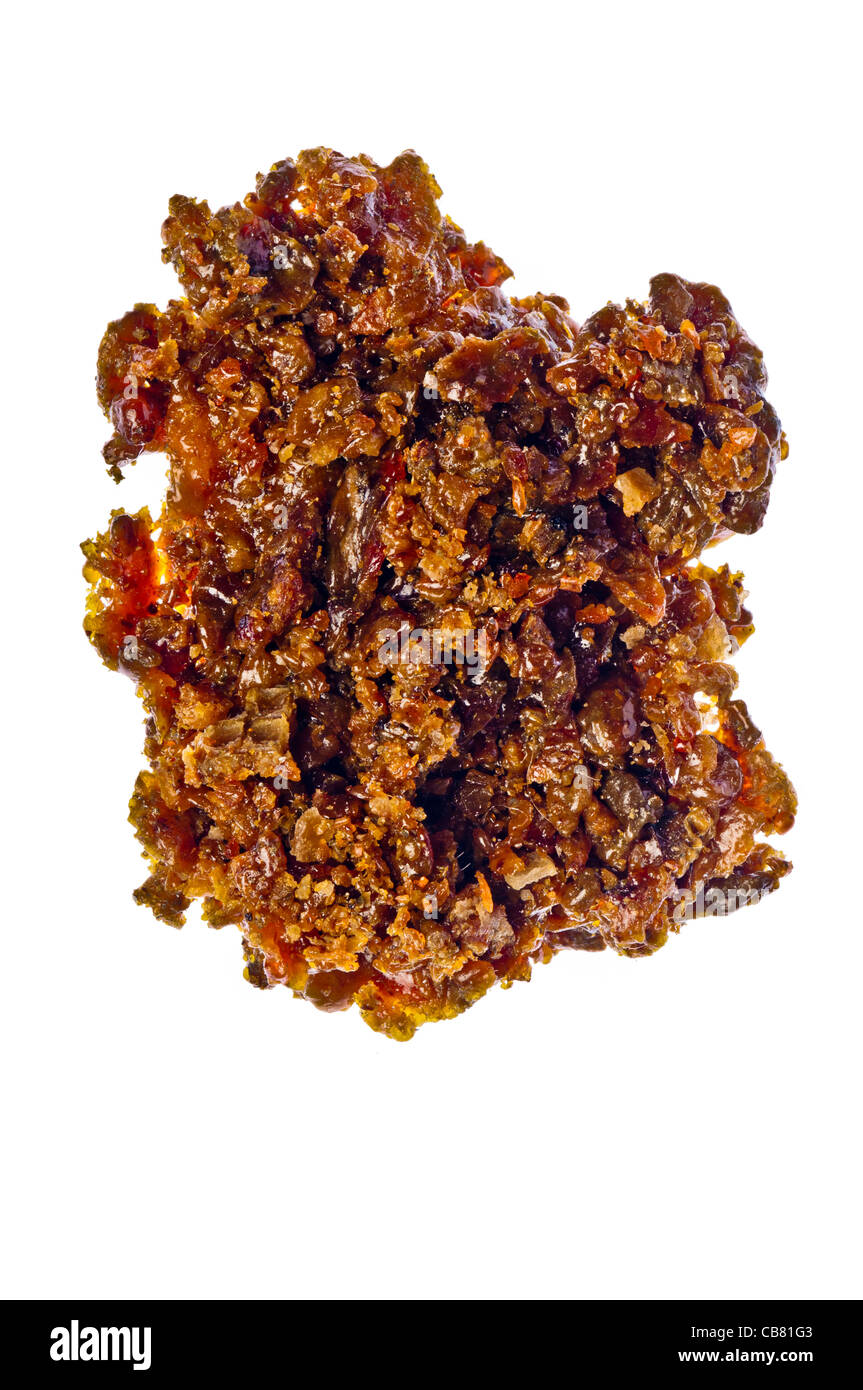 Pezzo di propoli Foto Stock