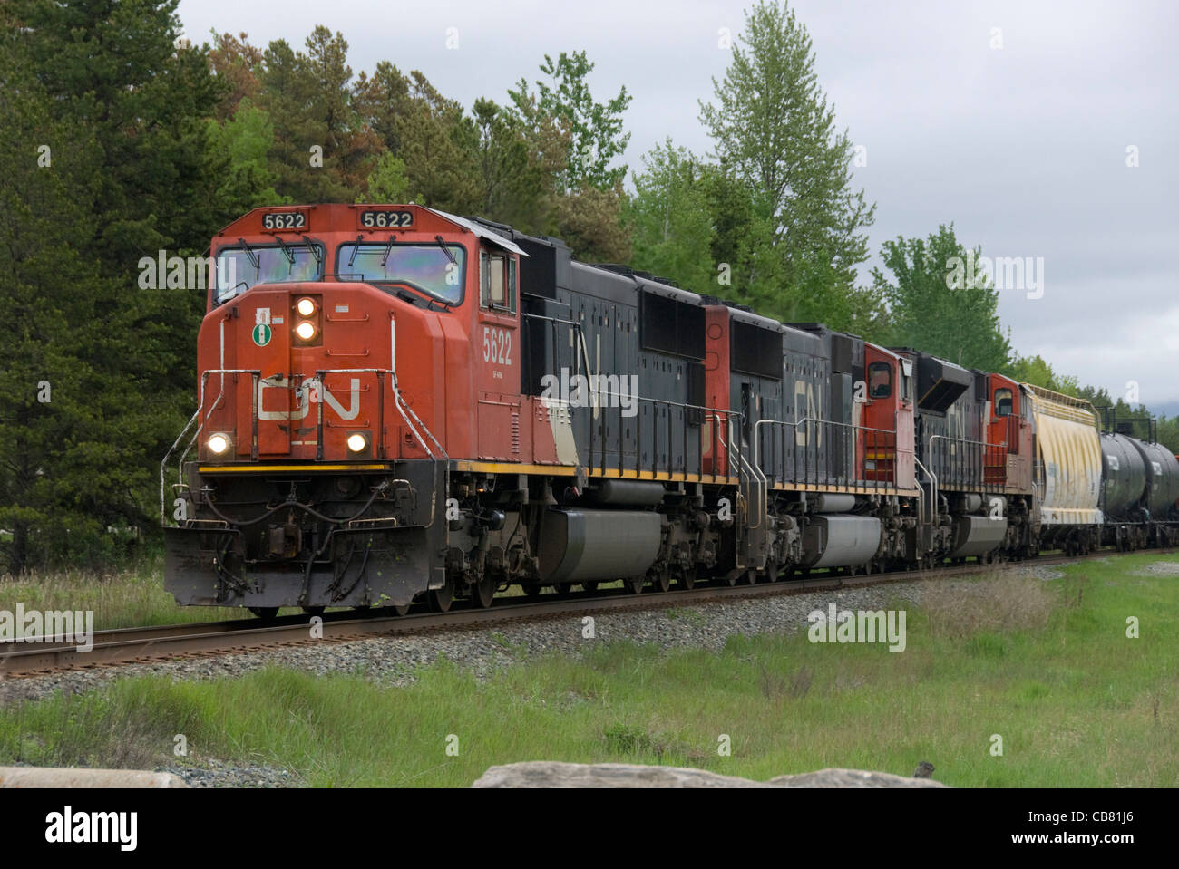 Il Canadian National treno merci a Valemount, Colombia britannica, Canada Foto Stock