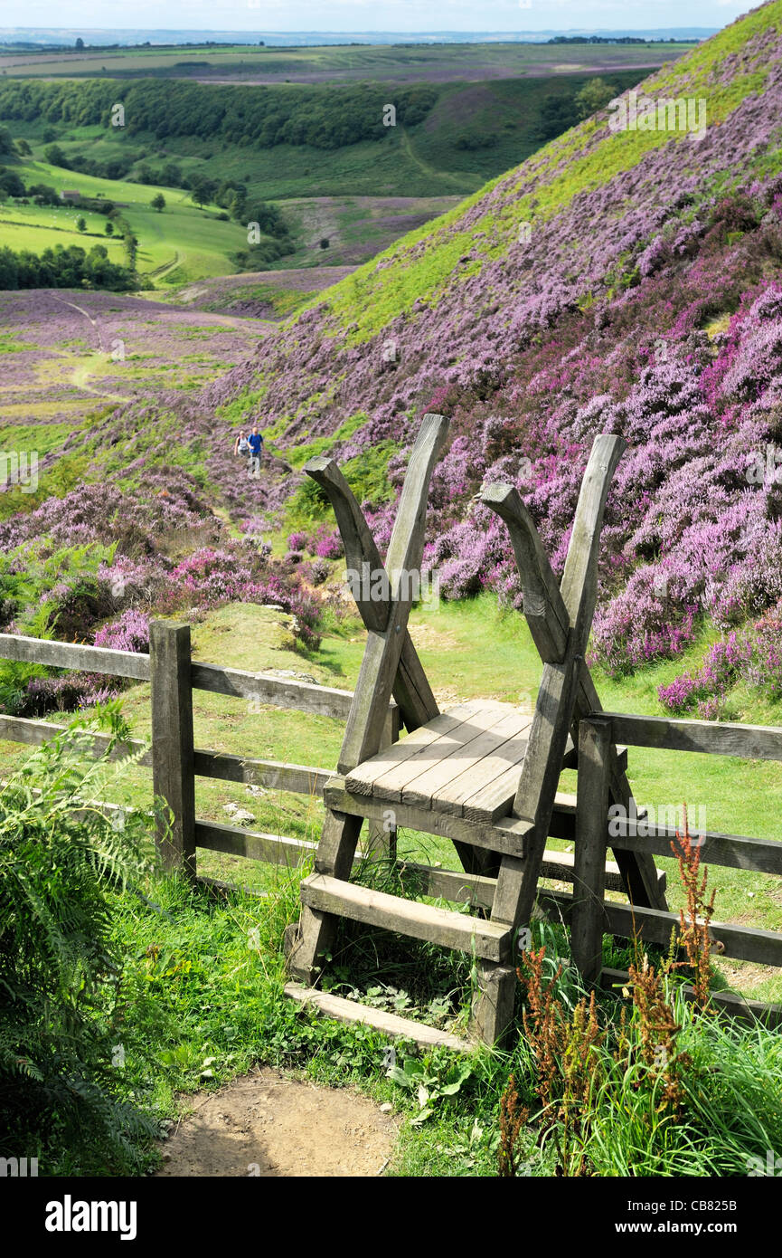 Stile e gli scuotipaglia e il sentiero a sud di heather foro coperto di Horcum moor terra. North York Moors National Park, Inghilterra. Estate Foto Stock