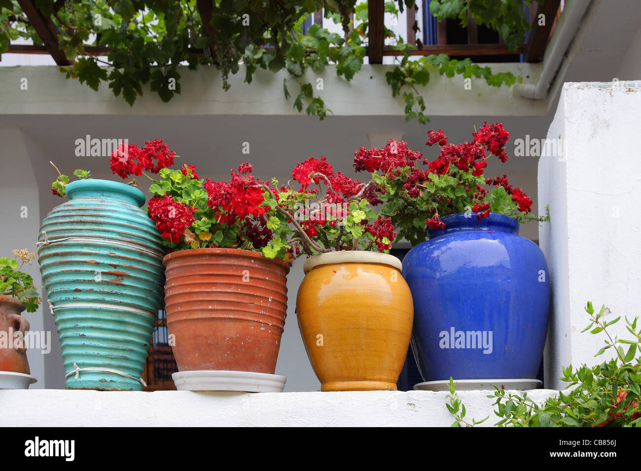 Fiori colorati vasi ad Alonissos, Grecia Foto Stock