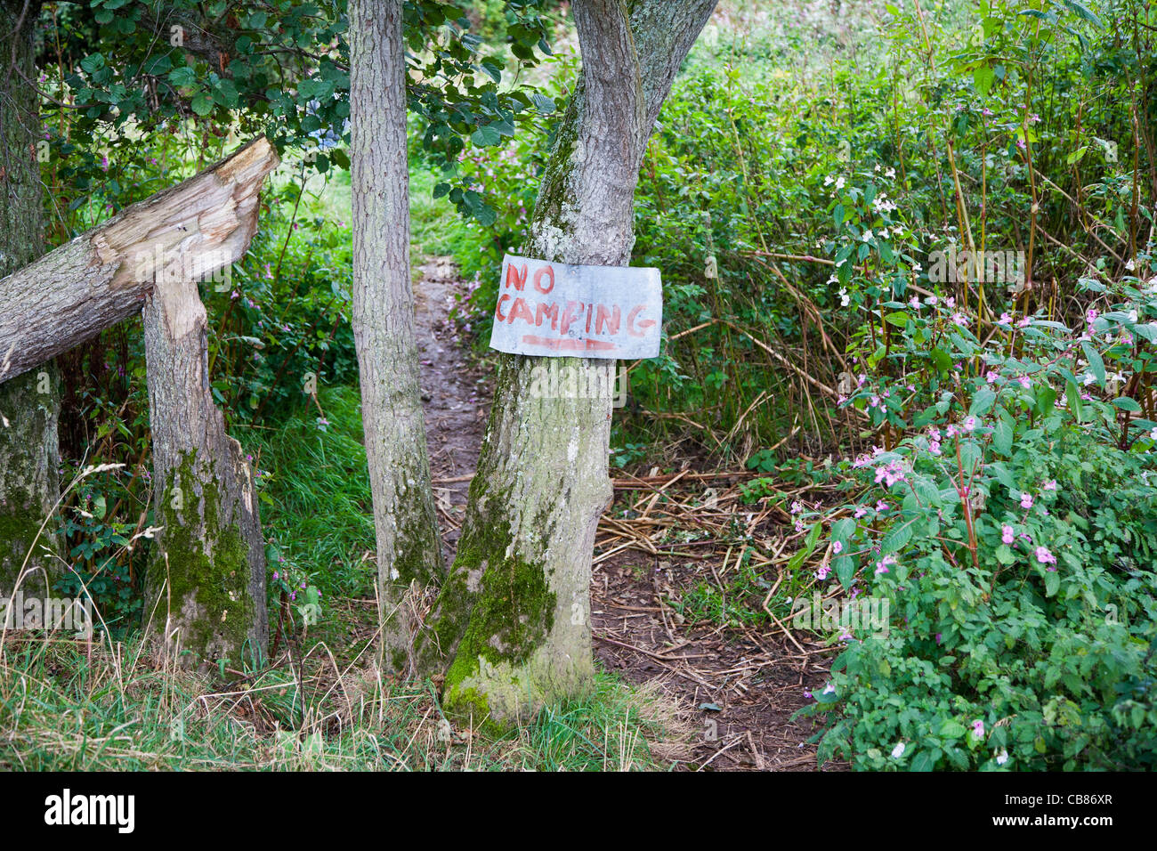 Nessun segno di campeggio in una zona rurale di Devon, Inghilterra Foto Stock