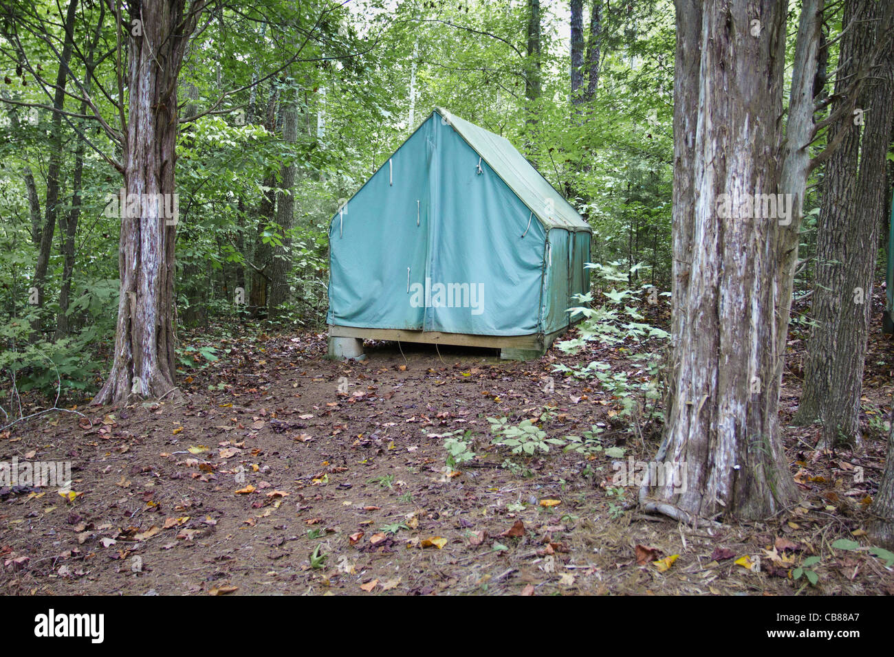 Tenda nel bosco Foto stock - Alamy
