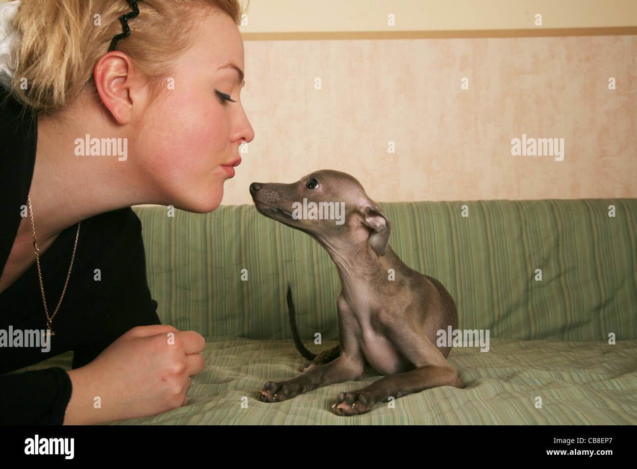 La ragazza con il Levriero Italiano cucciolo Foto Stock