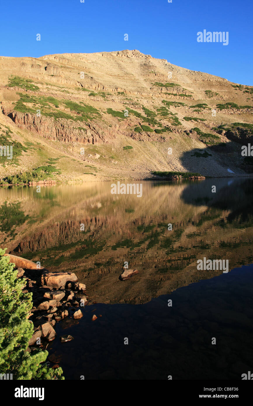 Montare Agassiz riflessa nel lago blu nel bacino del naturalista, Alta Uintas deserto dello Utah Foto Stock