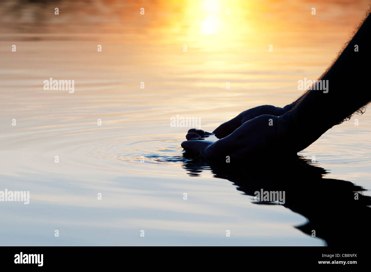 Mani a tazza raccogliendo l'acqua ancora in un lago a sunrise in India. Silhouette Foto Stock