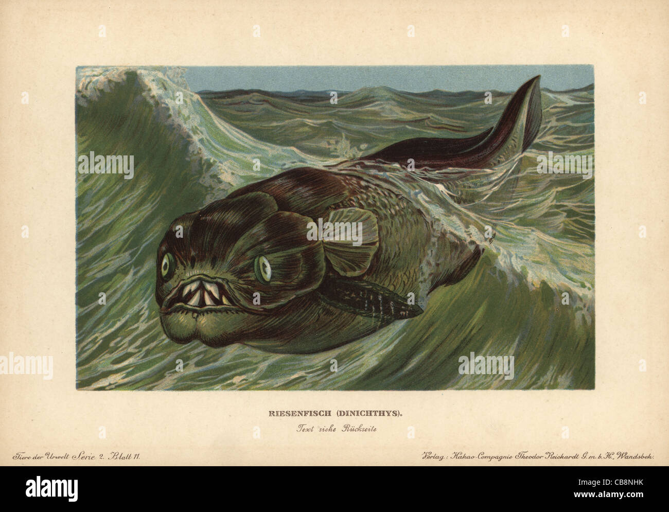 Dinichthys, estinto genere di placoderms, armored pesce dal Devoniano. Foto Stock