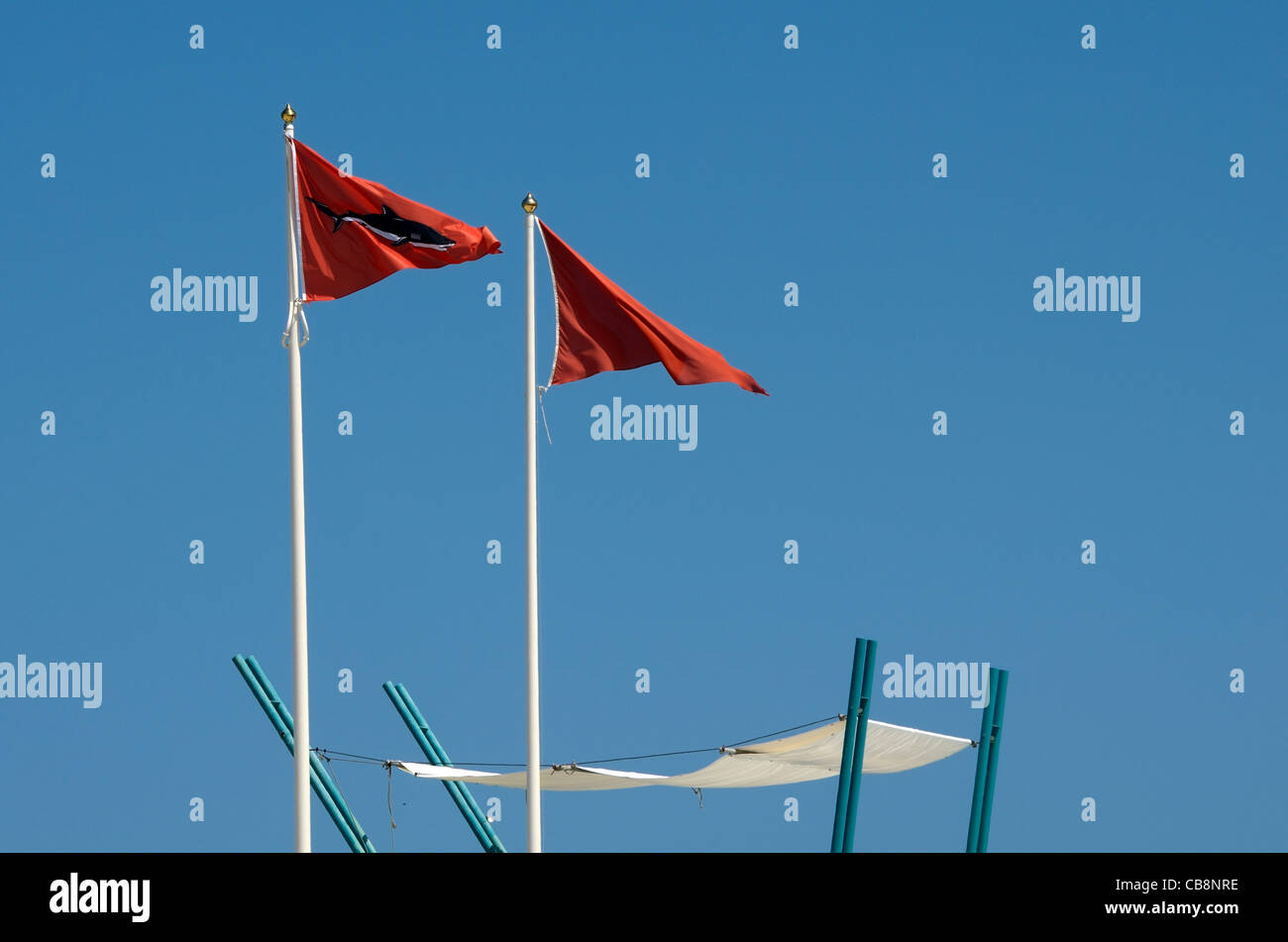 Nuovo flag di squalo sull isola di Reunion beach Foto Stock