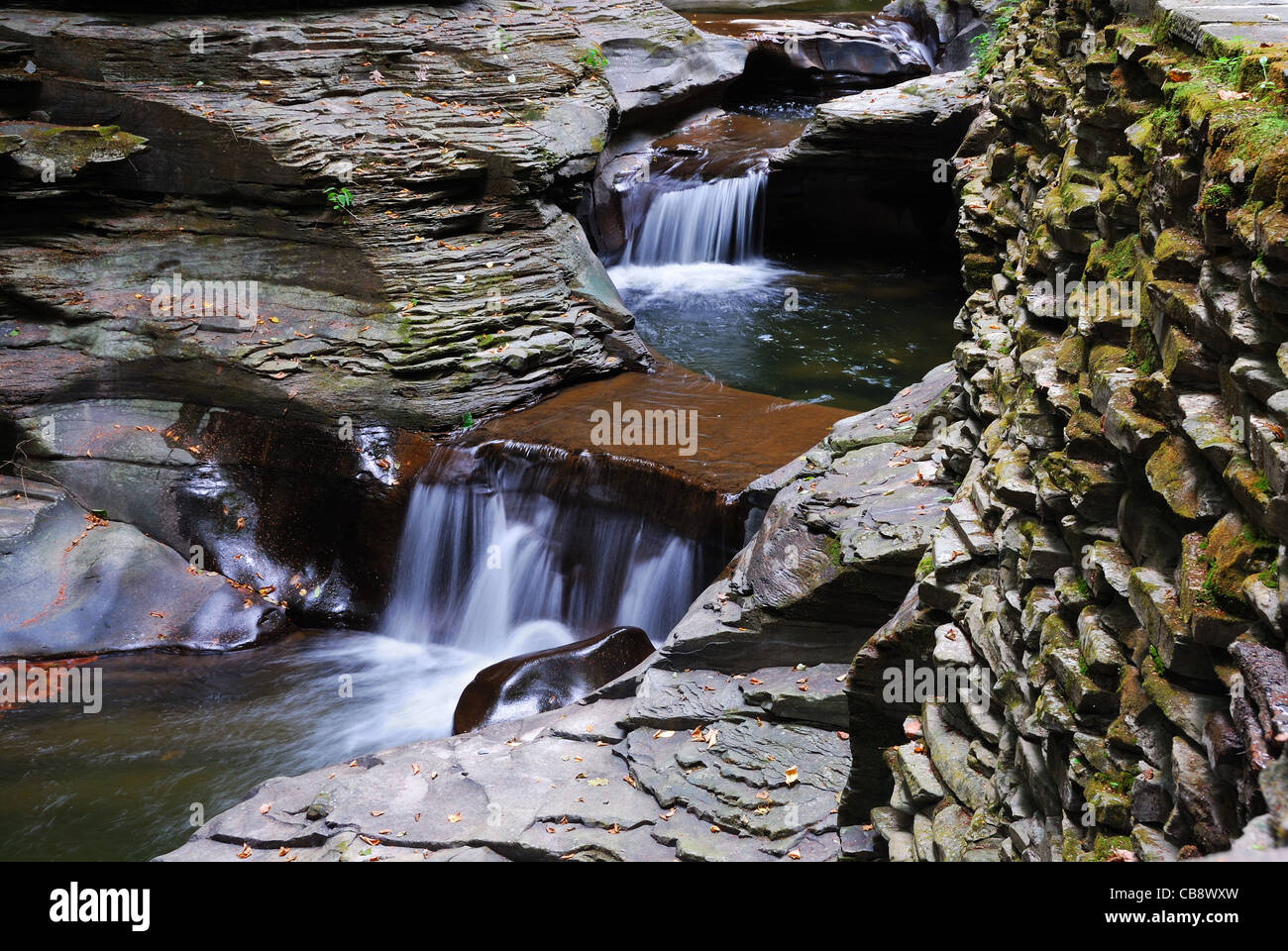 Creek nei boschi con rocce e lo streaming in Watkins Glen State Park nello Stato di New York Foto Stock