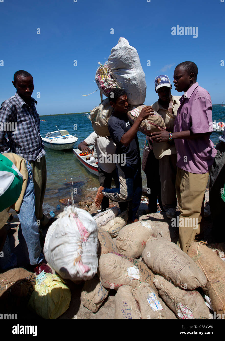Gli uomini che trasportano Sacksof Qat come un brodo fresco arrivato al porto di Lamu, Kenya Foto Stock