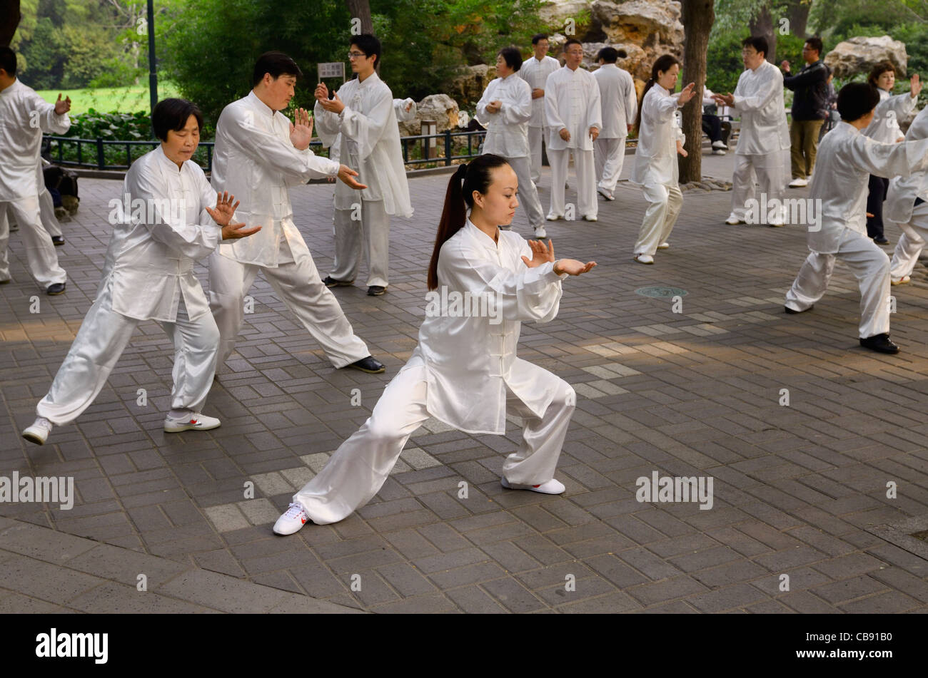 Tai chi pratica di classe si muove sotto gli alberi in zizhuyuan Purple Bamboo Park a Beijing in Cina durante la giornata nazionale Foto Stock