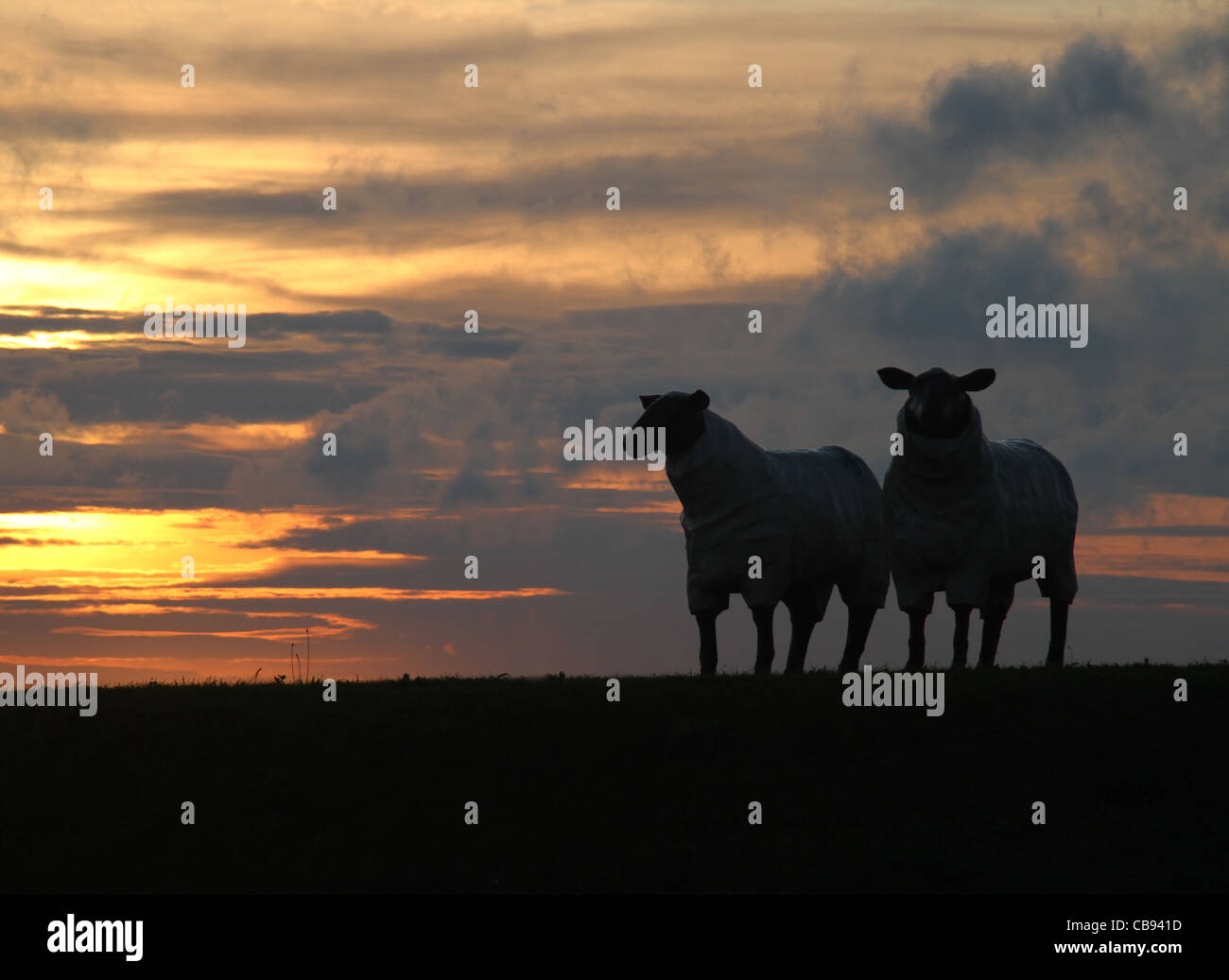 Statue di pecora su una rotatoria stradale con il tramonto del sole nel North Yorkshire. Foto Stock