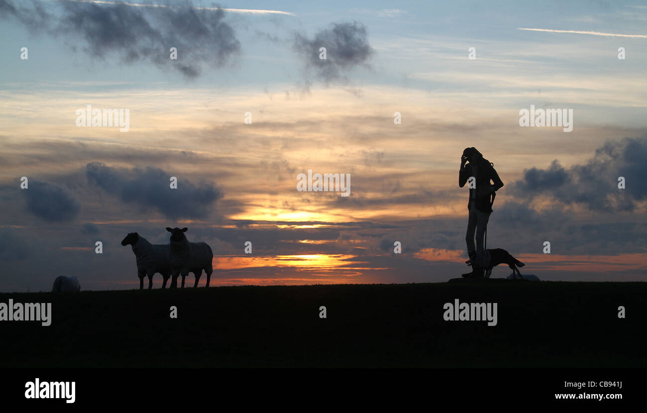 Le statue sulla rotatoria stradale in North Yorkshire. Foto Stock