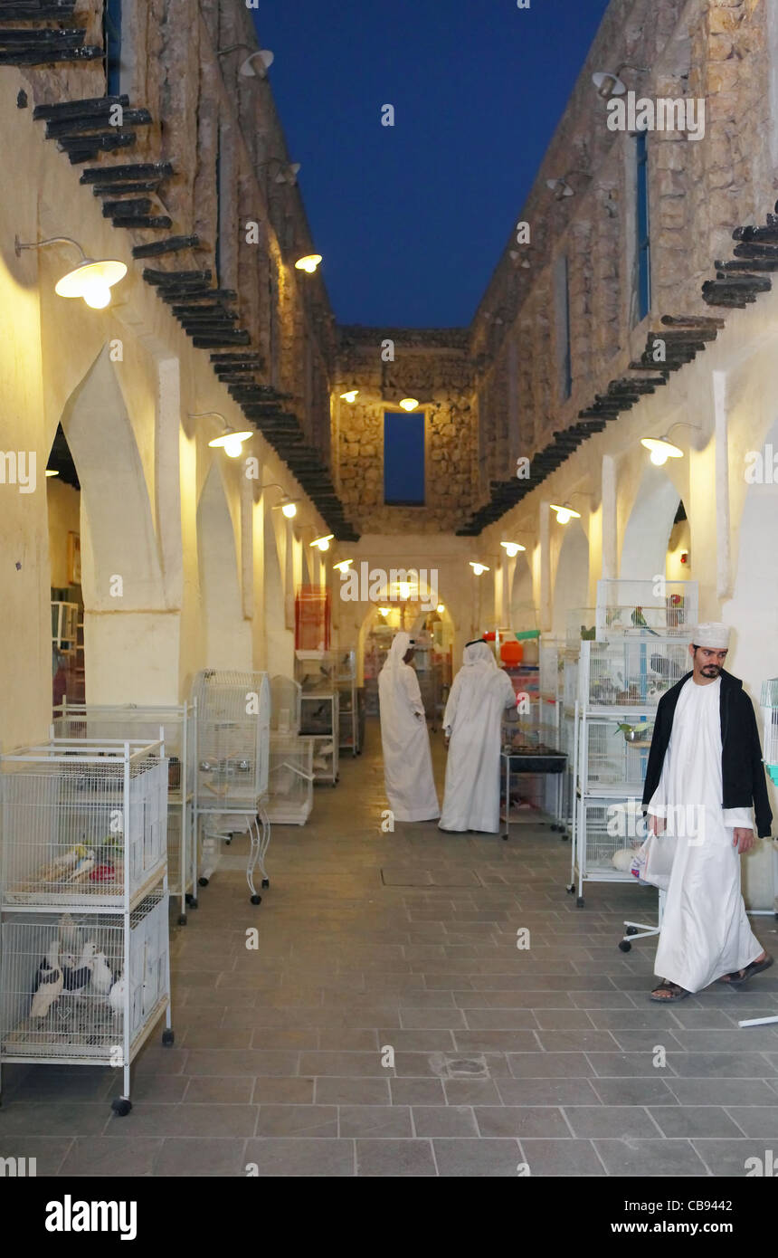 Il pet shop area nel Souq Waqif di sera Foto Stock