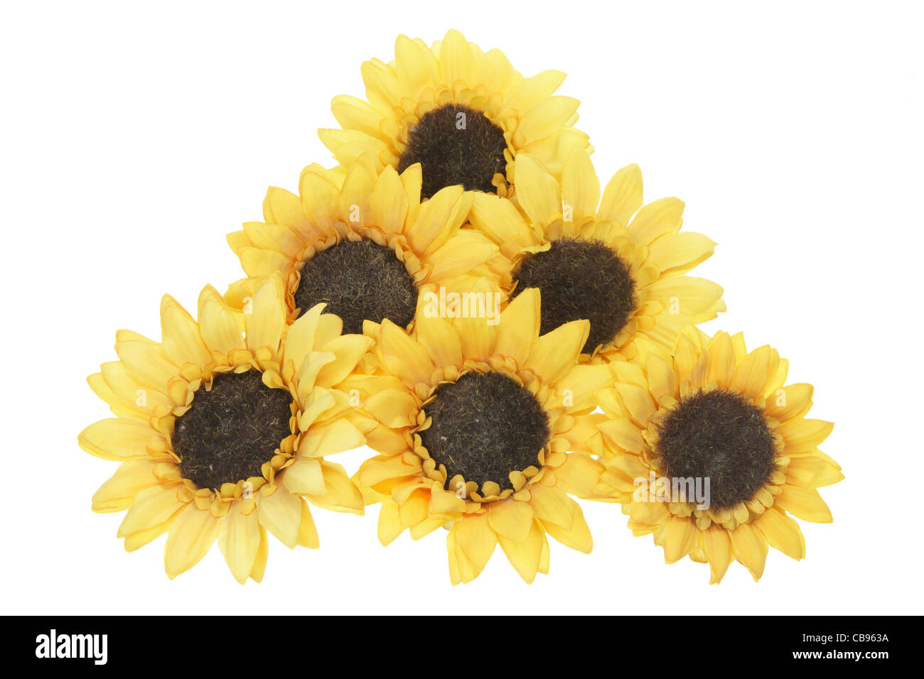 Gerbere gialle Foto Stock