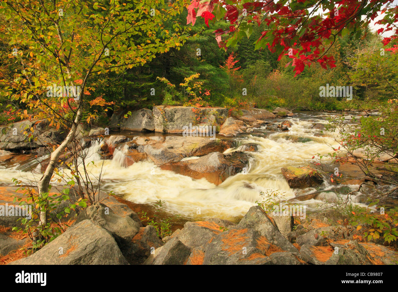 Poco Cascate del Niagara, Appalachian Trail, Nesowadnehunk Stream, Baxter State Park, Millinocket, Maine, Stati Uniti d'America Foto Stock