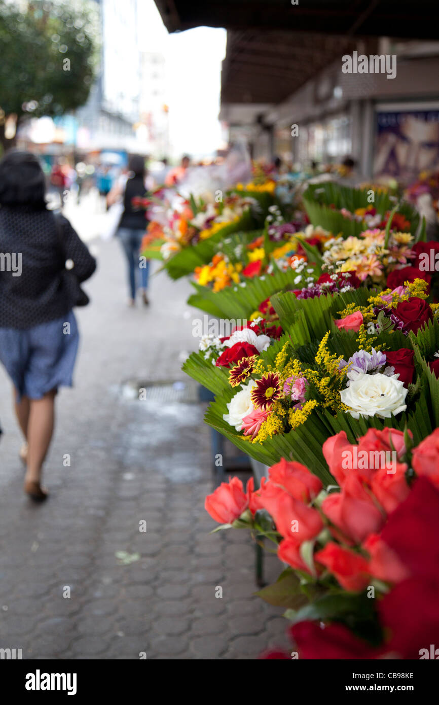 Il mercato dei fiori, San Jose, Costa Rica Foto Stock