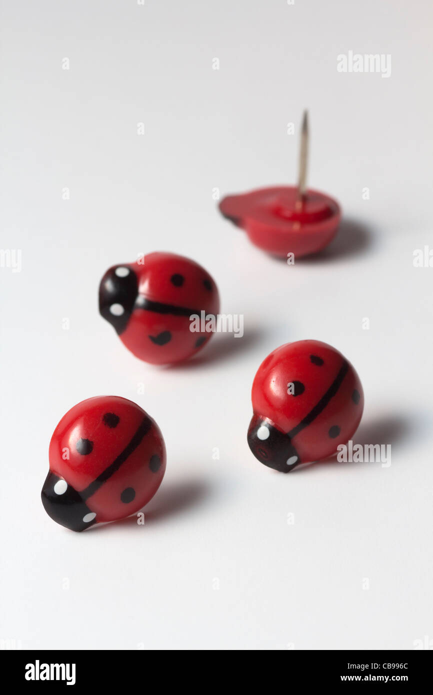 Ladybird puntine da disegno Foto Stock