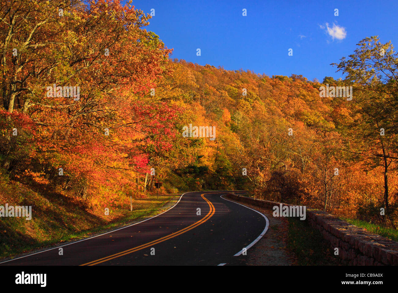 Skyline Drive, Marrone zona di montagna, parco nazionale di Shenandoah, Virginia, Stati Uniti d'America Foto Stock