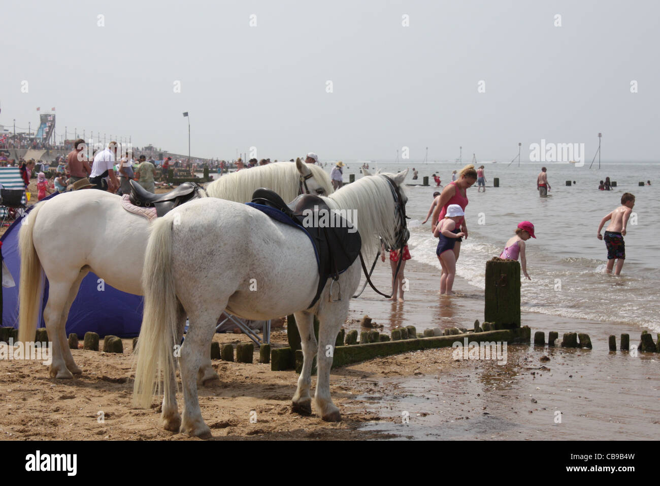 I Cavalli Bianchi Sulla Spiaggia Che Si Affaccia Sul Mare Guardando I Bambini Sulla Spiaggia Di Sabbia E Il Mare Vacanzieri In Hunstanton Pony Bianco Foto Stock Alamy