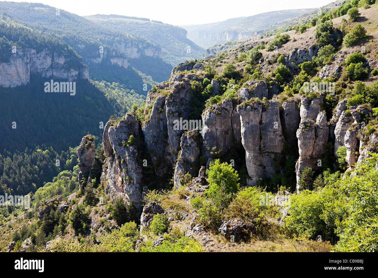 Le formazioni rocciose Gorges de la Jonte Francia Foto Stock