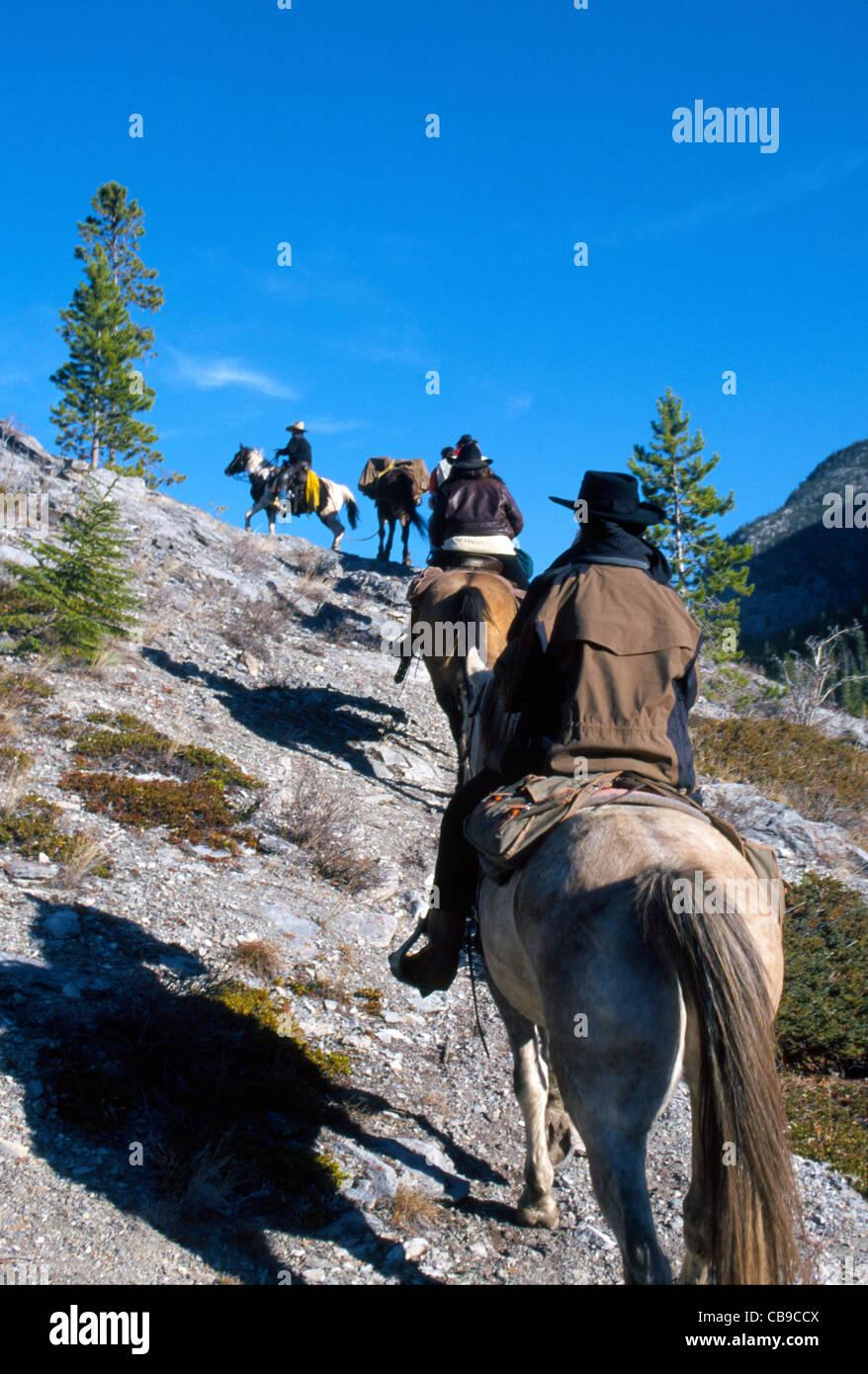 Equitazione su un viaggio di vacanza per arrampicarsi su un sentiero di montagna durante la loro avventura nel Parco Nazionale di Banff nelle Montagne Rocciose Canadesi in Alberta, Canada. Foto Stock