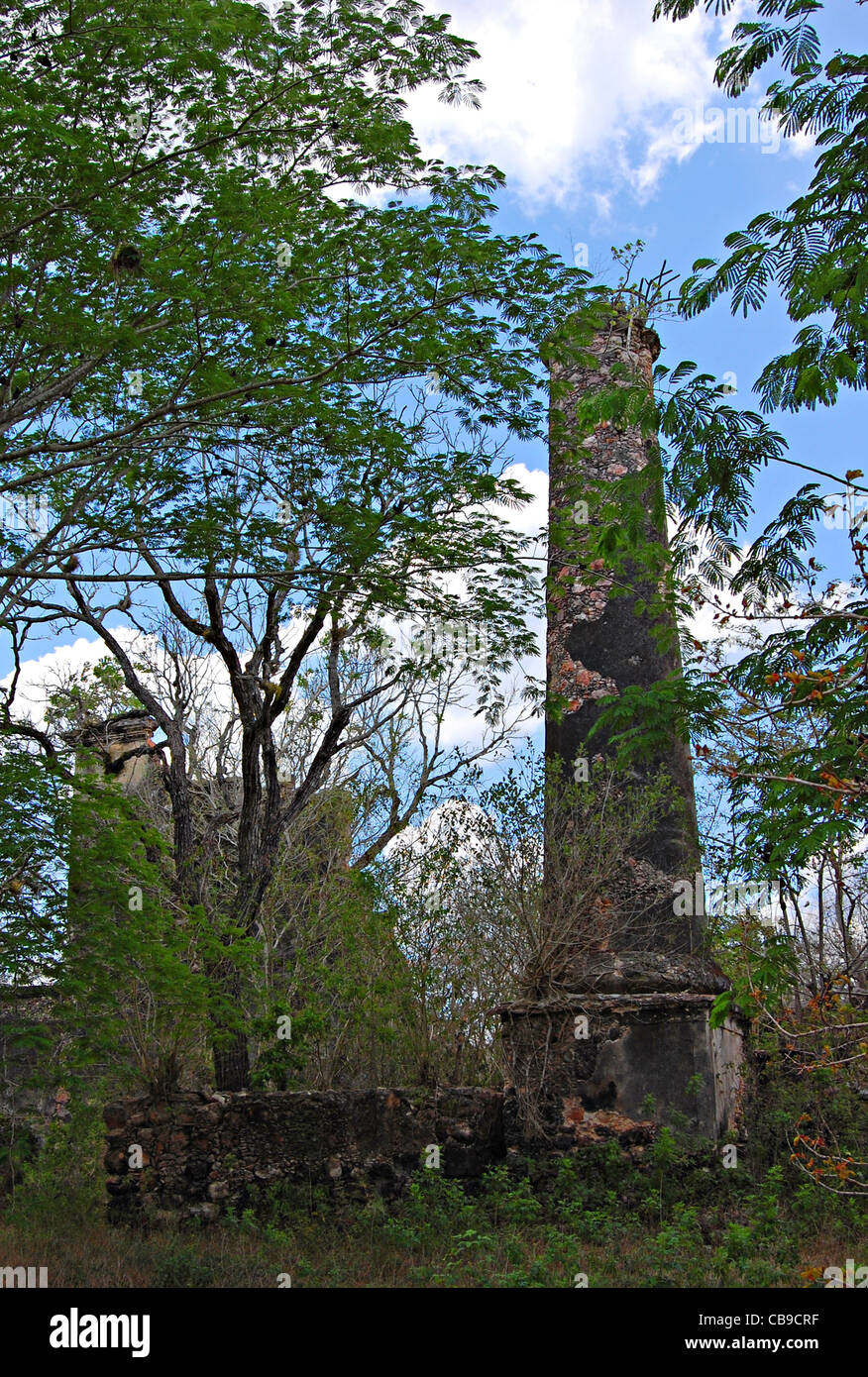 Hacienda dei Tabi rovine, Ruta Puuc, Yucatan, Messico Foto Stock