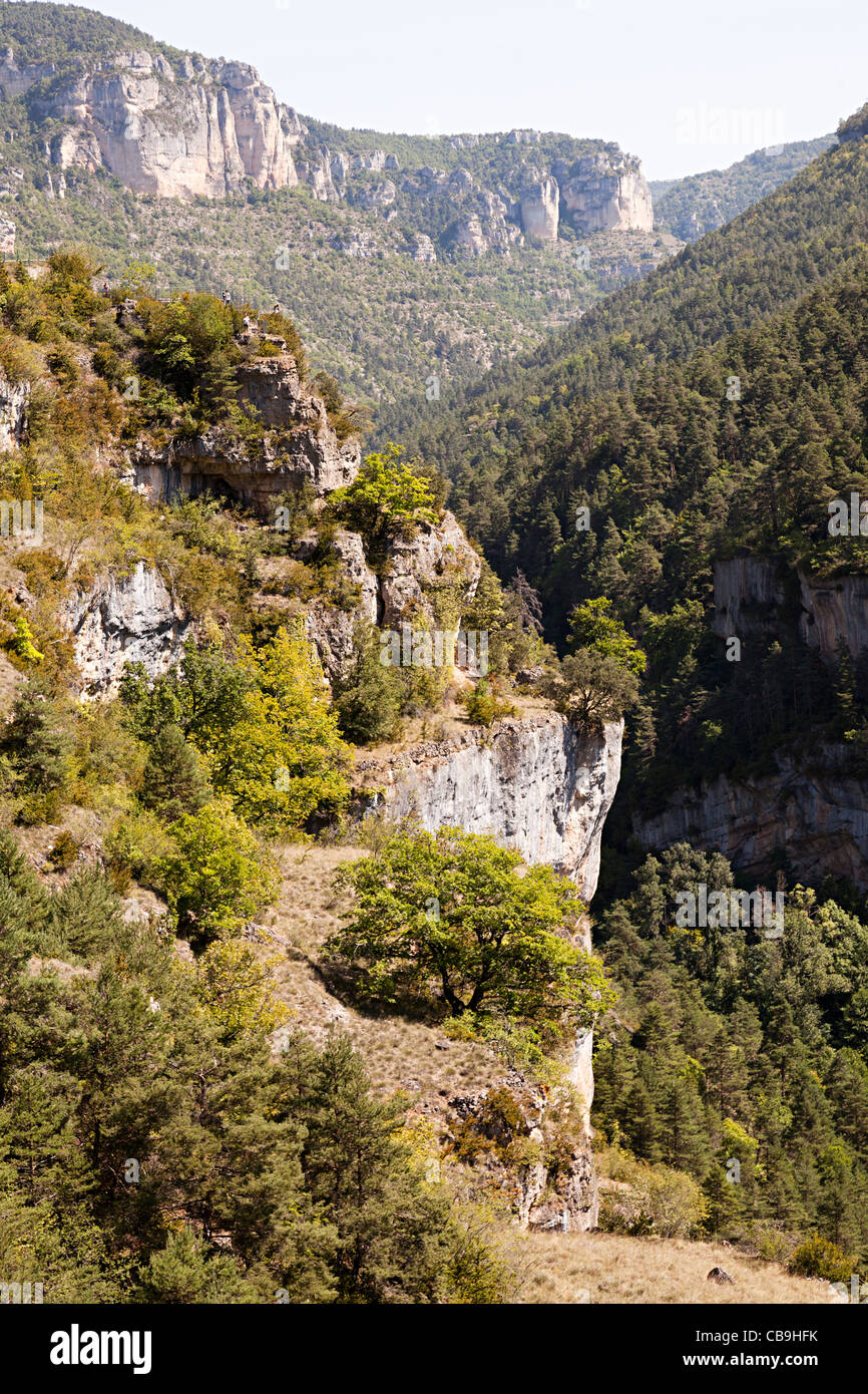 Le formazioni rocciose Gorges de la Jonte Lozere Francia Foto Stock