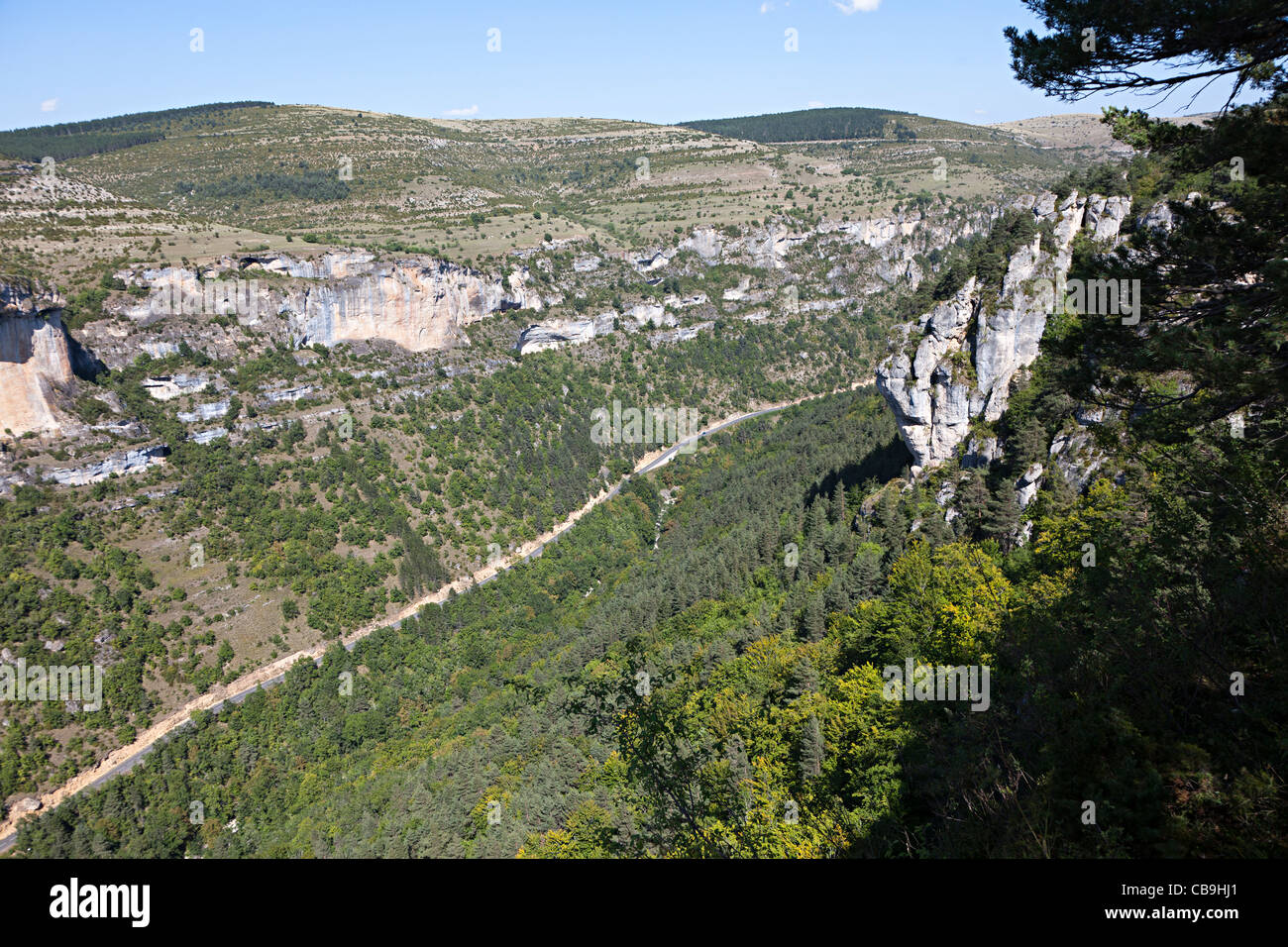 Strada che corre attraverso le Gorges de la Jonte Lozere Francia Foto Stock