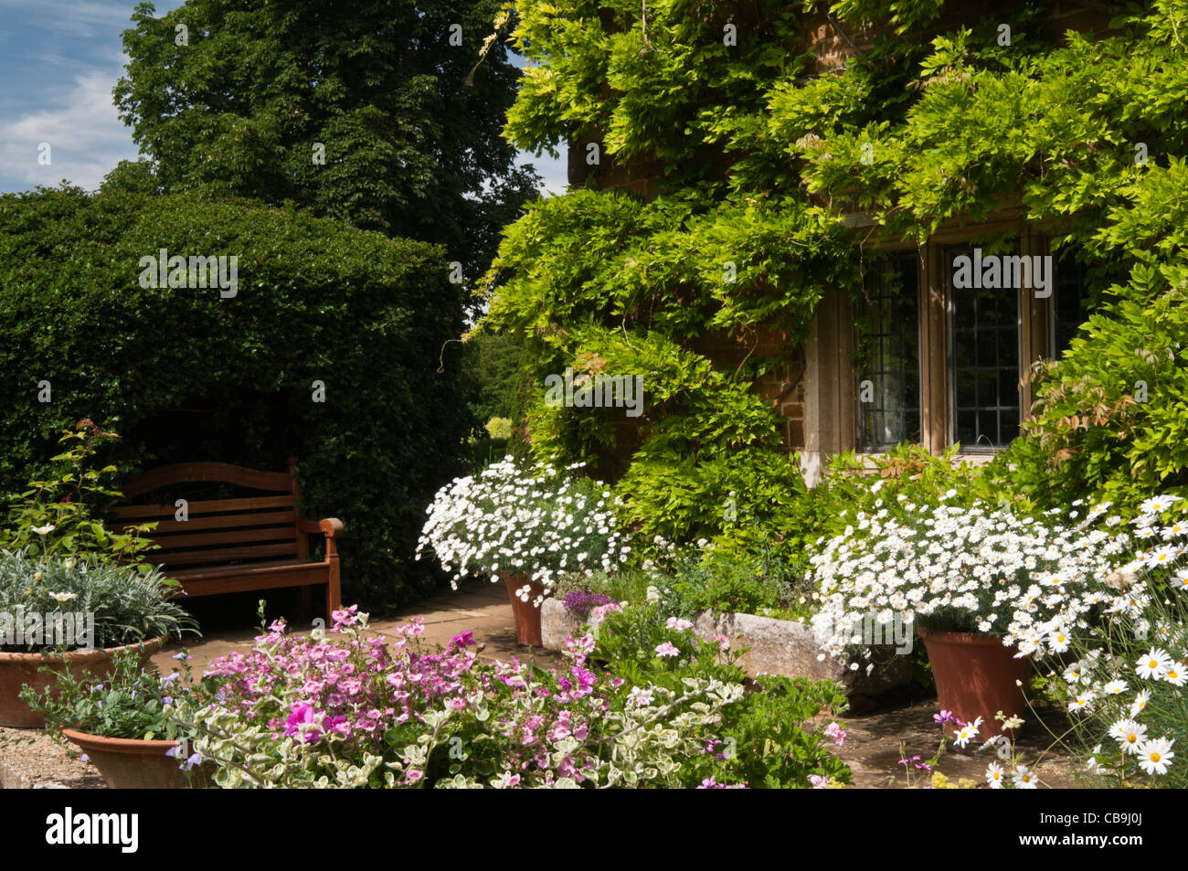 Contenitori e vasi piena di colorati fiori d'estate sul terrazzo giardino a Coton Manor Gardens, Northamptonshire, Inghilterra Foto Stock